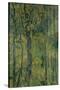 Swamp Forest, 1917-Alexander Yakovlevich Golovin-Stretched Canvas