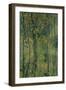 Swamp Forest, 1917-Alexander Yakovlevich Golovin-Framed Giclee Print