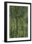 Swamp Forest, 1917-Alexander Yakovlevich Golovin-Framed Giclee Print