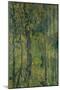 Swamp Forest, 1917-Alexander Yakovlevich Golovin-Mounted Giclee Print