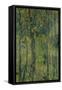 Swamp Forest, 1917-Alexander Yakovlevich Golovin-Framed Stretched Canvas