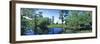 Swamp in forest, Jean Lafitte National Park, New Orleans, Louisiana, USA-Panoramic Images-Framed Photographic Print