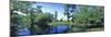 Swamp in forest, Jean Lafitte National Park, New Orleans, Louisiana, USA-Panoramic Images-Mounted Photographic Print