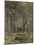 Swamp in the Forest, Autumn, 1872-Fedor Aleksandrovich Vasiliev-Mounted Giclee Print