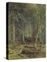 Swamp in the Forest, Autumn, 1872-Fedor Aleksandrovich Vasiliev-Stretched Canvas