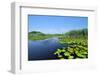 Swamp Vegetation in the Danube Delta-salajean-Framed Photographic Print