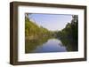 Swamps in the UNESCO World Heritage Site Sundarbans, Bangladesh, Asia-Michael Runkel-Framed Photographic Print