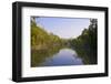 Swamps in the UNESCO World Heritage Site Sundarbans, Bangladesh, Asia-Michael Runkel-Framed Photographic Print