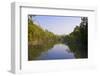 Swamps in the UNESCO World Heritage Site Sundarbans, Bangladesh, Asia-Michael Runkel-Framed Photographic Print