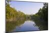 Swamps in the UNESCO World Heritage Site Sundarbans, Bangladesh, Asia-Michael Runkel-Mounted Photographic Print