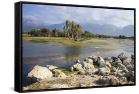 Swamps Outside of Hadibo, Capital of the Island of Socotra, Yemen, Middle East-Michael Runkel-Framed Stretched Canvas