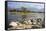 Swamps Outside of Hadibo, Capital of the Island of Socotra, Yemen, Middle East-Michael Runkel-Framed Stretched Canvas