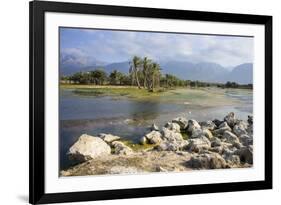 Swamps Outside of Hadibo, Capital of the Island of Socotra, Yemen, Middle East-Michael Runkel-Framed Photographic Print