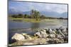 Swamps Outside of Hadibo, Capital of the Island of Socotra, Yemen, Middle East-Michael Runkel-Mounted Photographic Print