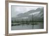 Swampy Landscape in Anchorage, Destroyed by a Tsunami, Alaska-Françoise Gaujour-Framed Photographic Print