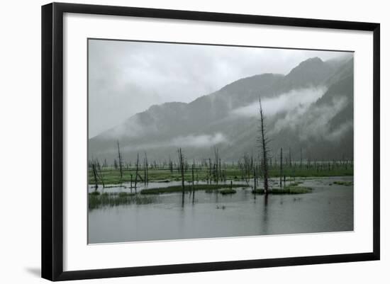 Swampy Landscape in Anchorage, Destroyed by a Tsunami, Alaska-Françoise Gaujour-Framed Photographic Print