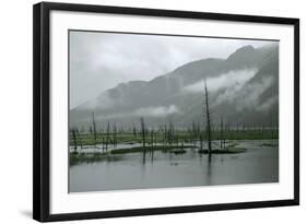 Swampy Landscape in Anchorage, Destroyed by a Tsunami, Alaska-Françoise Gaujour-Framed Photographic Print