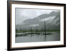 Swampy Landscape in Anchorage, Destroyed by a Tsunami, Alaska-Françoise Gaujour-Framed Photographic Print