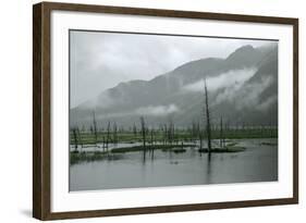 Swampy Landscape in Anchorage, Destroyed by a Tsunami, Alaska-Françoise Gaujour-Framed Photographic Print