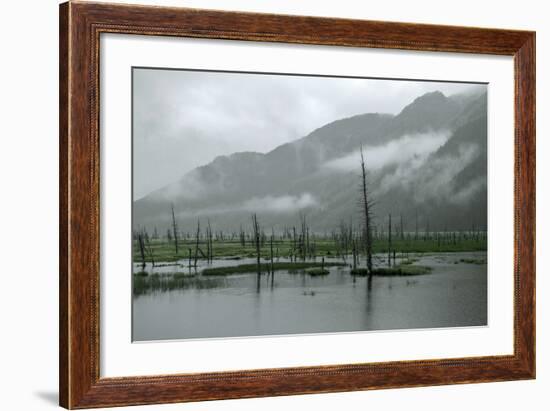 Swampy Landscape in Anchorage, Destroyed by a Tsunami, Alaska-Françoise Gaujour-Framed Photographic Print