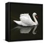 Swan 1-Ben Heine-Framed Stretched Canvas