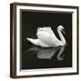 Swan 1-Ben Heine-Framed Photographic Print