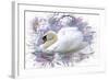 Swan 2A-Ata Alishahi-Framed Giclee Print