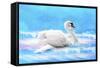 Swan 8A-Ata Alishahi-Framed Stretched Canvas