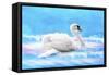 Swan 8A-Ata Alishahi-Framed Stretched Canvas