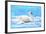 Swan 8A-Ata Alishahi-Framed Giclee Print