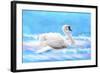 Swan 8A-Ata Alishahi-Framed Giclee Print