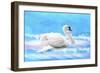 Swan 8A-Ata Alishahi-Framed Giclee Print