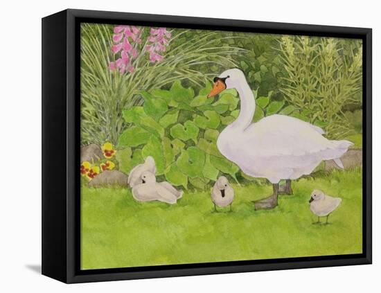 Swan and Cygnets-Linda Benton-Framed Stretched Canvas