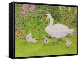 Swan and Cygnets-Linda Benton-Framed Stretched Canvas