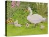 Swan and Cygnets-Linda Benton-Stretched Canvas