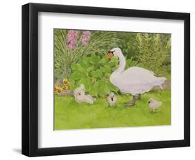 Swan and Cygnets-Linda Benton-Framed Giclee Print