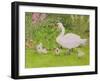 Swan and Cygnets-Linda Benton-Framed Giclee Print
