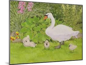 Swan and Cygnets-Linda Benton-Mounted Giclee Print
