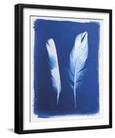 Swan and Magpie Feathers-Sarah Cheyne-Framed Giclee Print