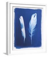 Swan and Magpie Feathers-Sarah Cheyne-Framed Giclee Print