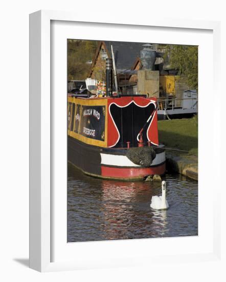 Swan and Narrowboat Near the British Waterways Board Workshops, Tardebigge, England-David Hughes-Framed Photographic Print