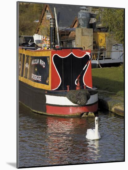 Swan and Narrowboat Near the British Waterways Board Workshops, Tardebigge, England-David Hughes-Mounted Photographic Print