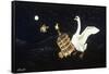Swan and Two Birds Carrying Bird Cage Flying at Night-Eduardo Camoes-Framed Stretched Canvas