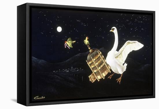 Swan and Two Birds Carrying Bird Cage Flying at Night-Eduardo Camoes-Framed Stretched Canvas