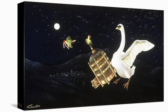Swan and Two Birds Carrying Bird Cage Flying at Night-Eduardo Camoes-Stretched Canvas