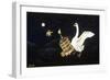 Swan and Two Birds Carrying Bird Cage Flying at Night-Eduardo Camoes-Framed Premium Giclee Print