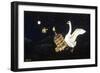 Swan and Two Birds Carrying Bird Cage Flying at Night-Eduardo Camoes-Framed Giclee Print