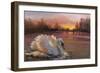 Swan at Sunrise, 2016-Lee Campbell-Framed Giclee Print