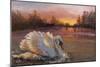 Swan at Sunrise, 2016-Lee Campbell-Mounted Giclee Print