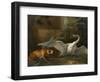 Swan Attacked by a Dog, 1745-Jean-Baptiste Oudry-Framed Giclee Print